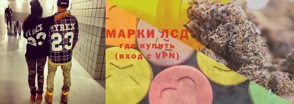 прущие грибы Пролетарск
