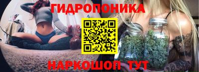 spice Кандалакша