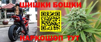 мдпв Камышлов