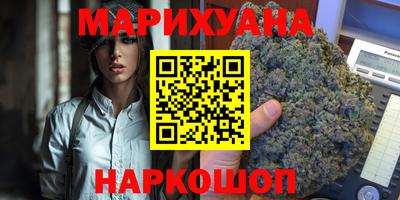 мдпв Камышлов