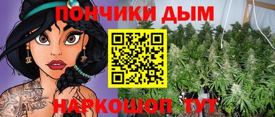 мдпв Камышлов