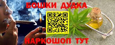 мдпв Камышлов