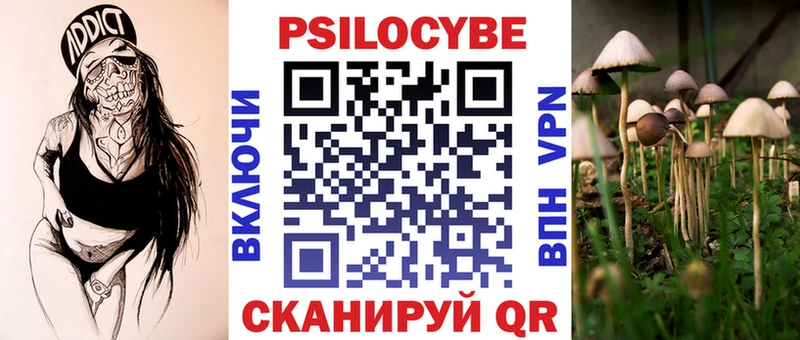 Галлюциногенные грибы Cubensis  ссылка на мегу ССЫЛКА  это наркотические препараты  Курчатов 