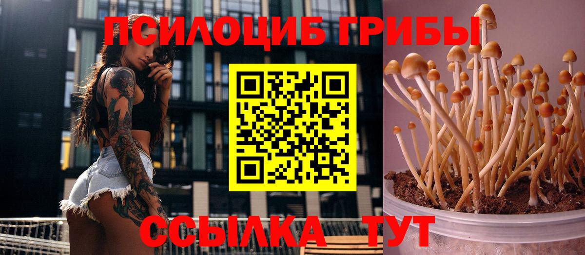 Галлюциногенные грибы мицелий  Галлюциногенные грибы GOLDEN TEACHER  Вход с VPN  Курчатов 