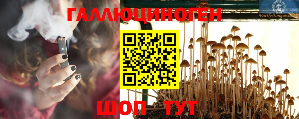 Галлюциногенные грибы MAGIC MUSHROOMS Курчатов